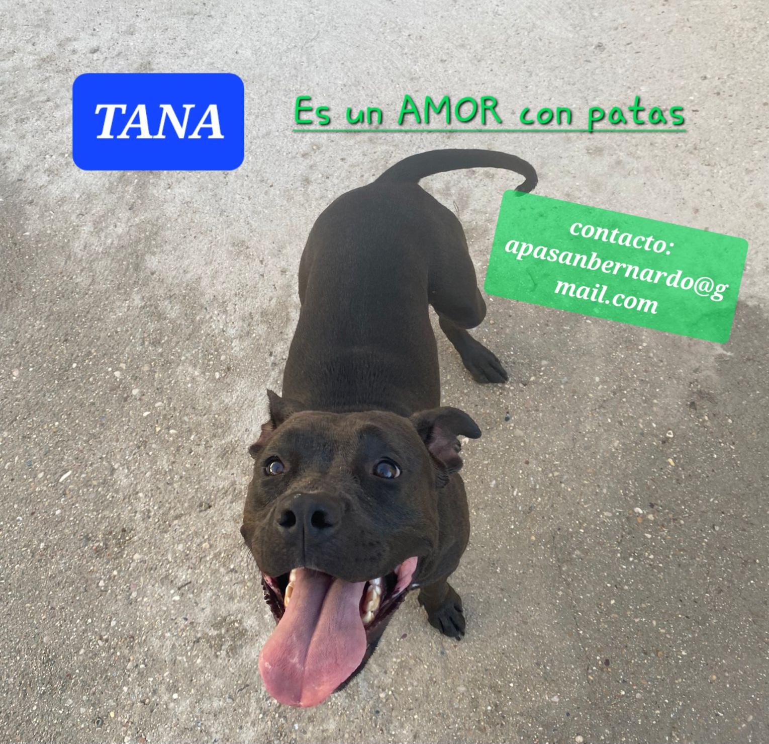 TANA